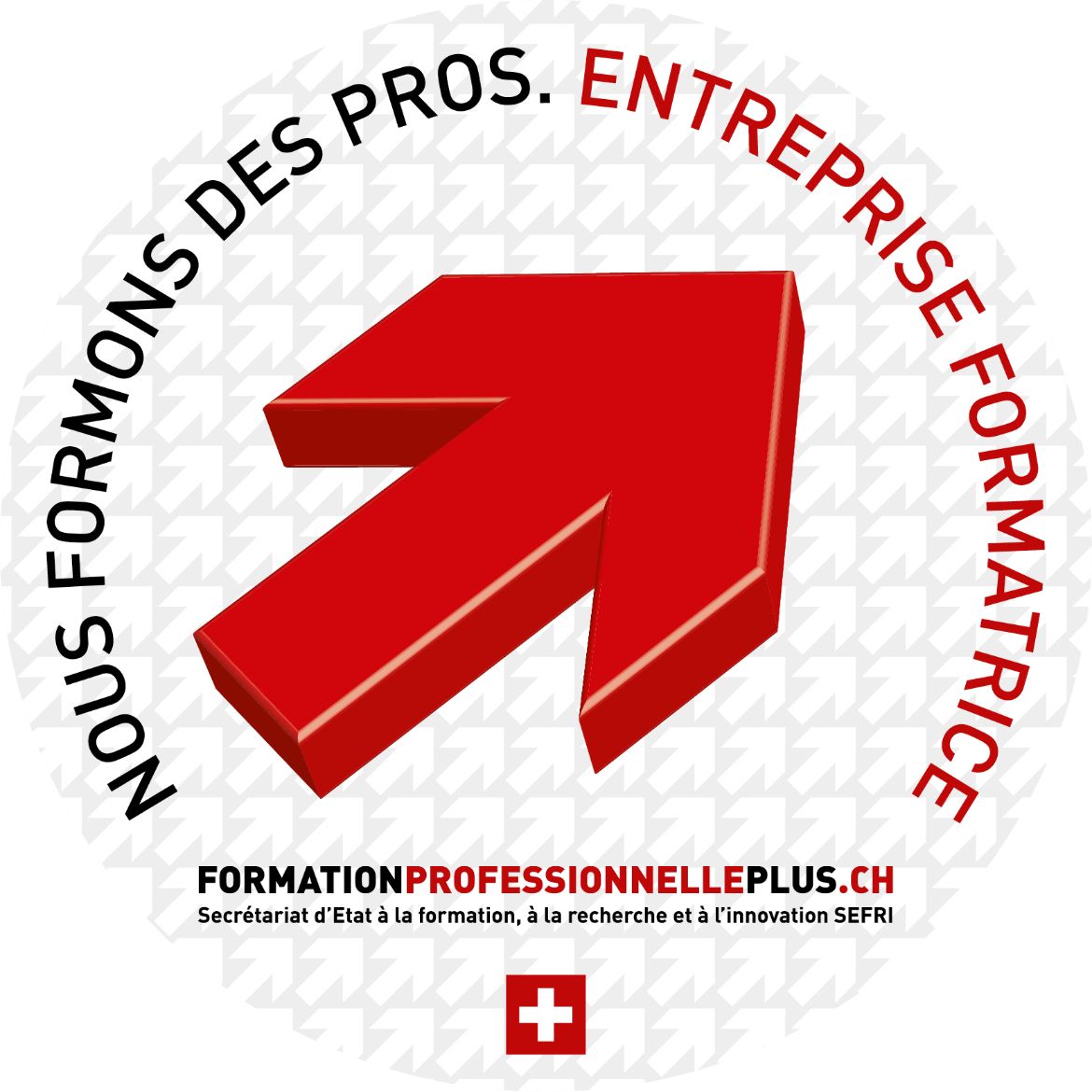 formation professionnelle, entreprise formatrice, apprentissage, vignette entreprise formatrice